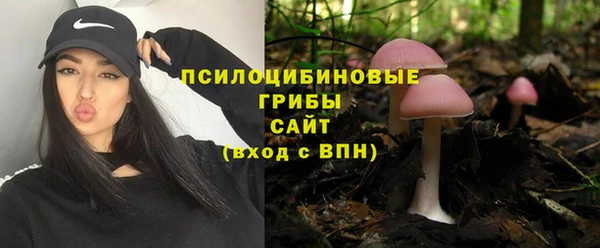МДПВ Пересвет