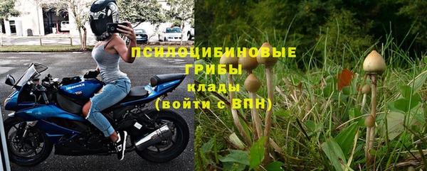 дживик Алексеевка