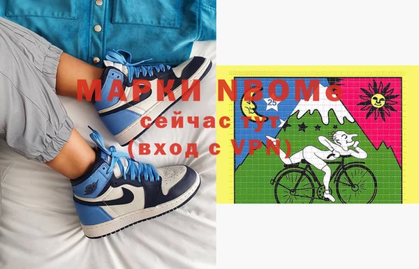 шишки Алзамай