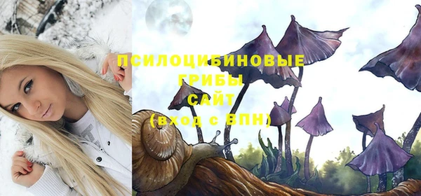 МДПВ Алексин